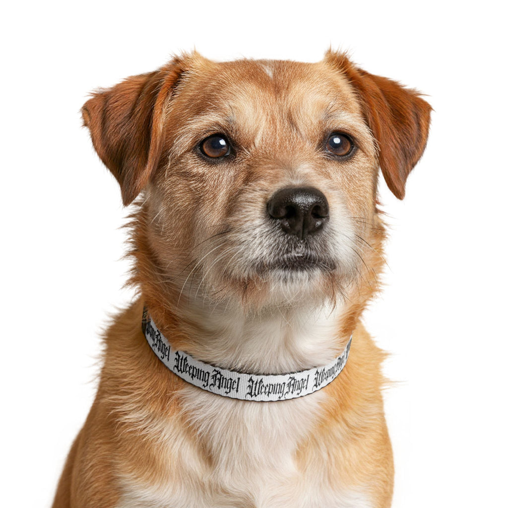 Weeping Angel Logo Clip-on Pet Collar